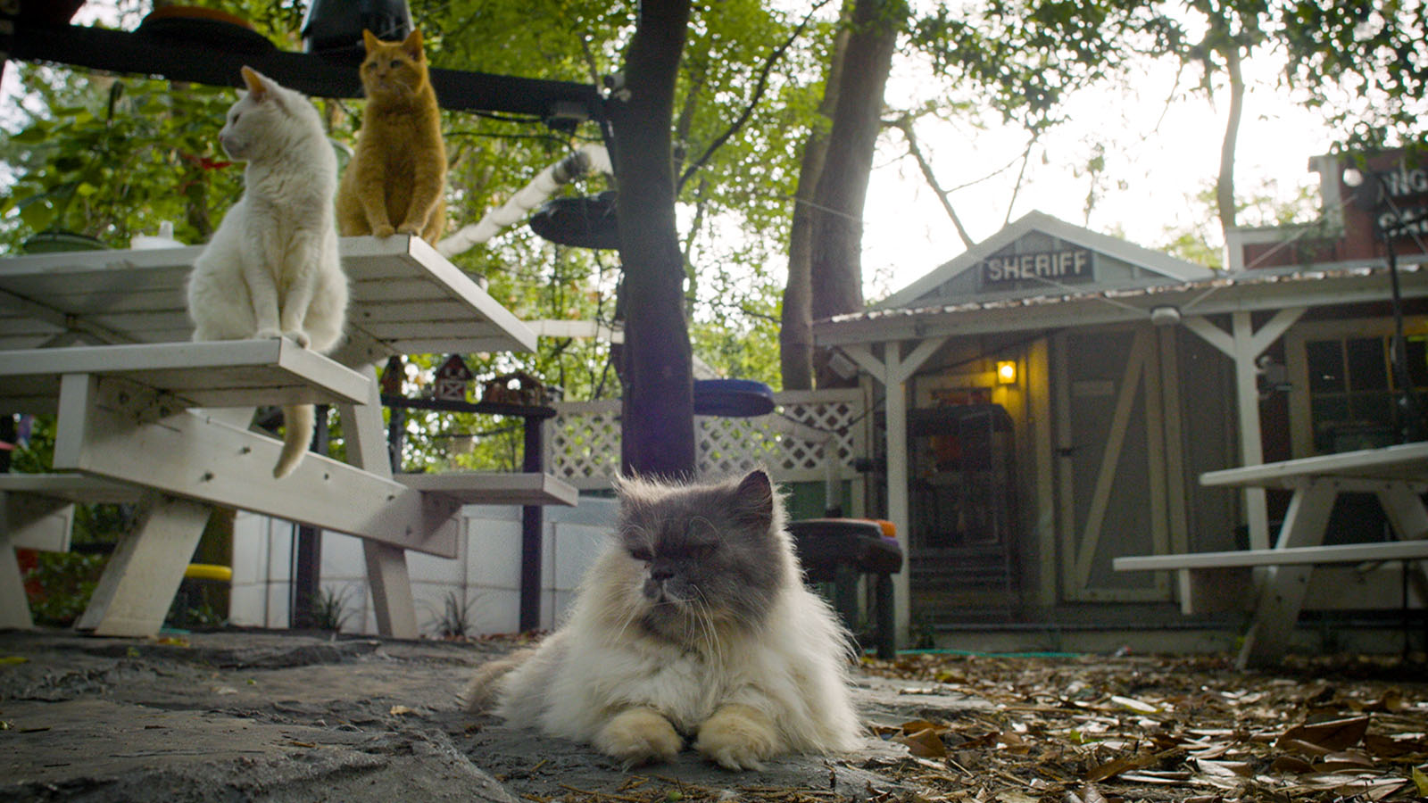 Reactions from SIFF: Round 3